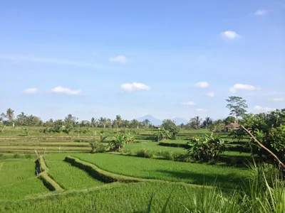 Bali