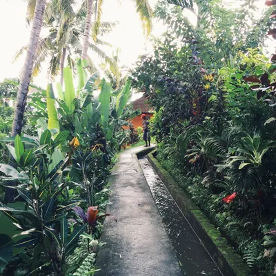 Bali